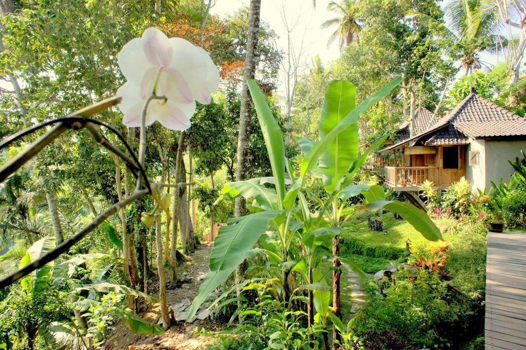 Prashanti Bali Ubud  Luaran gambar