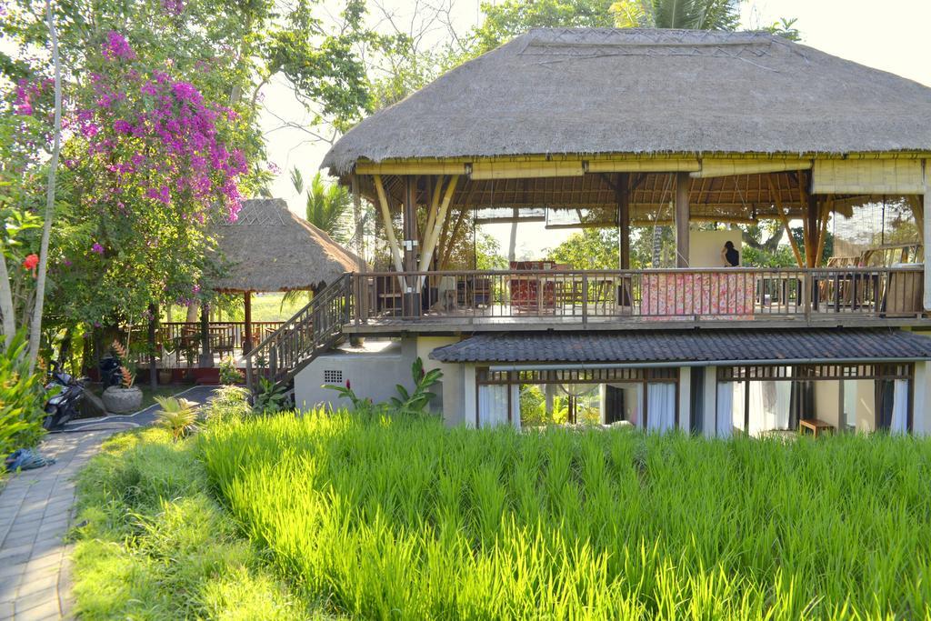 Prashanti Bali Ubud  Luaran gambar