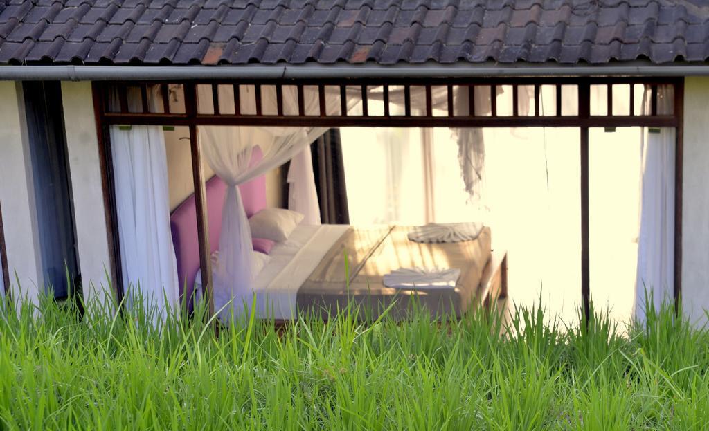Prashanti Bali Ubud  Bilik gambar