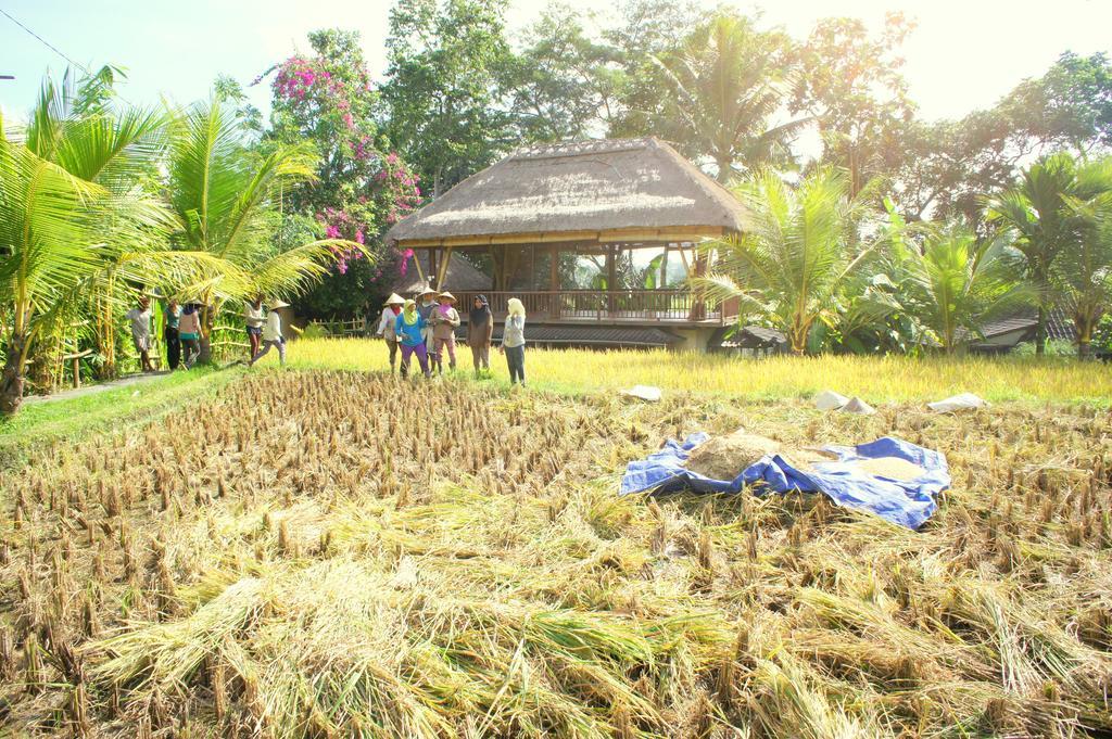 Prashanti Bali Ubud  Luaran gambar