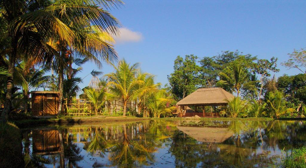 Prashanti Bali Ubud  Luaran gambar