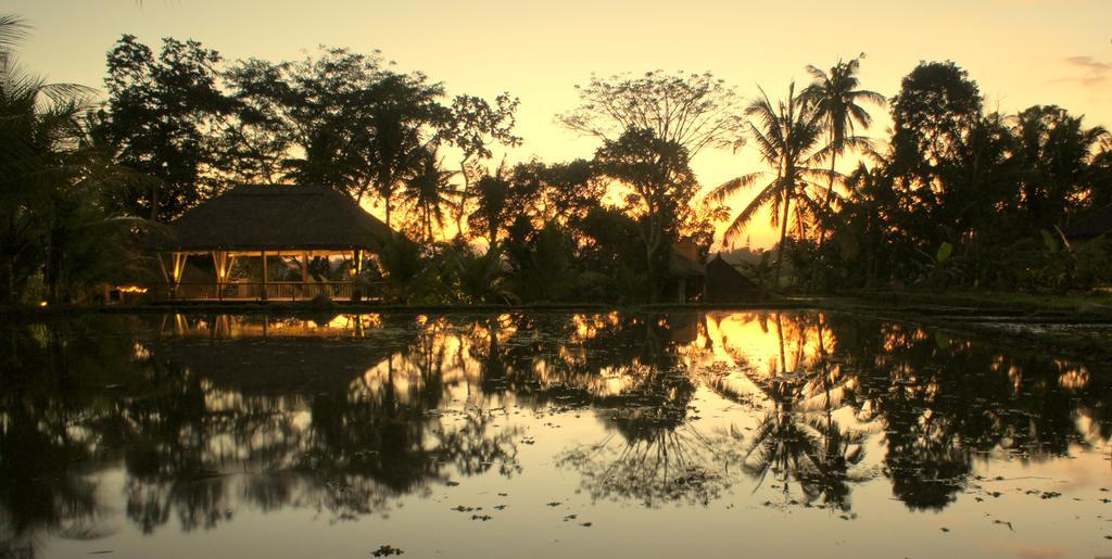 Prashanti Bali Ubud  Luaran gambar