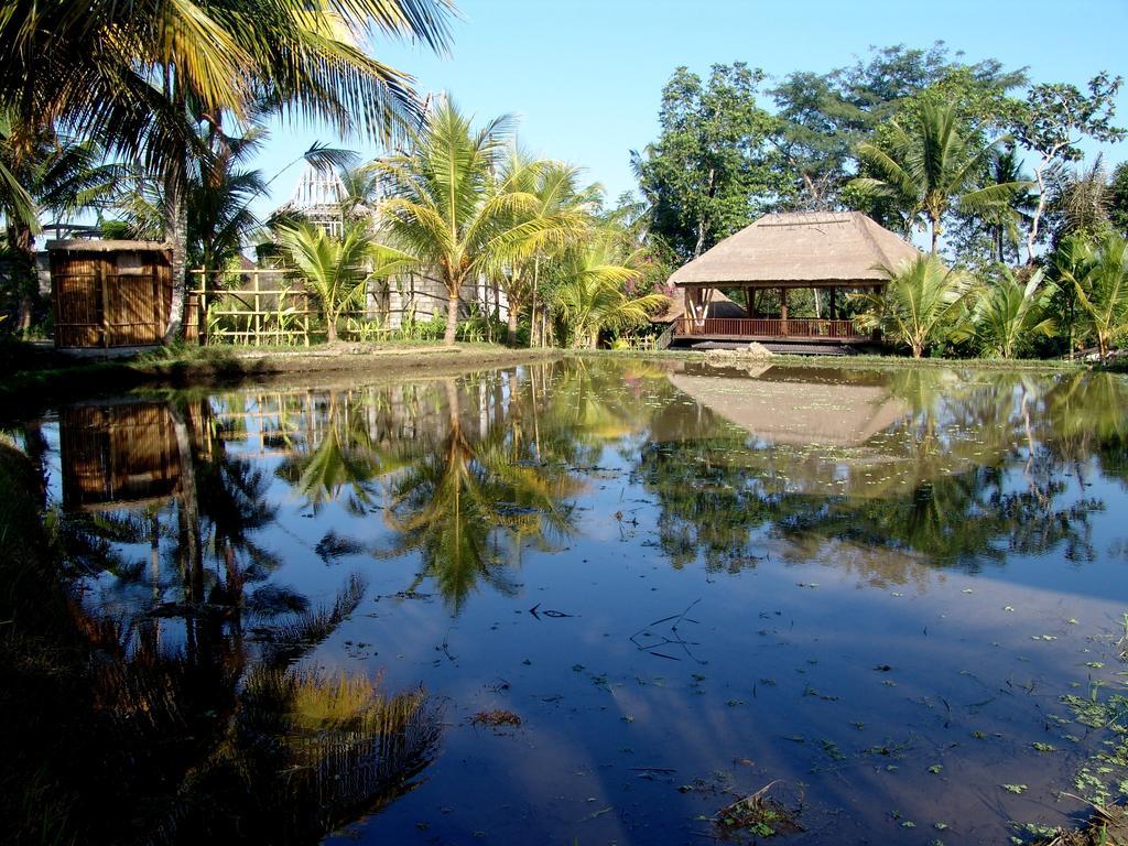 Prashanti Bali Ubud  Luaran gambar