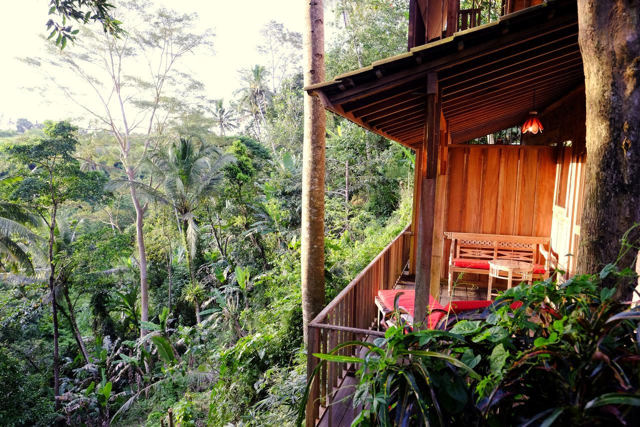 Prashanti Bali Ubud  Luaran gambar